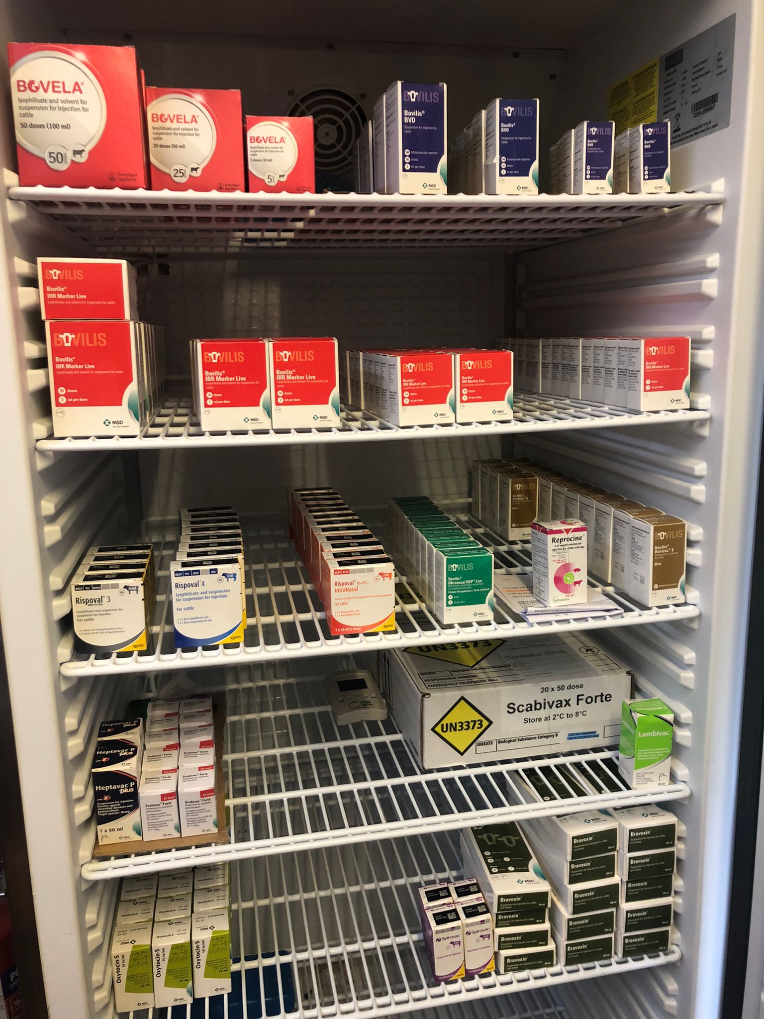 Medicines fridge for what we do